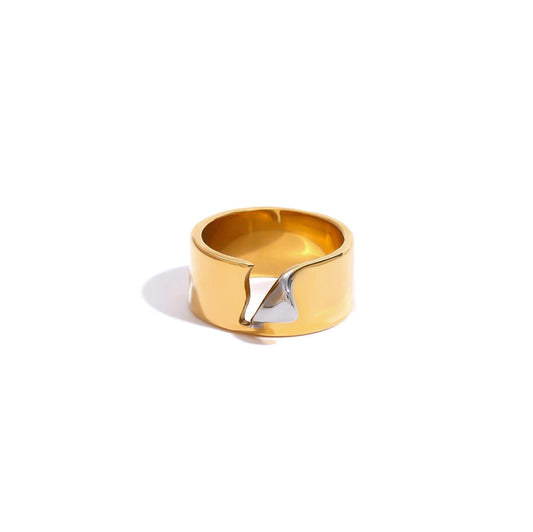 Mixed metal page wide ring with a unique design and minimal style.